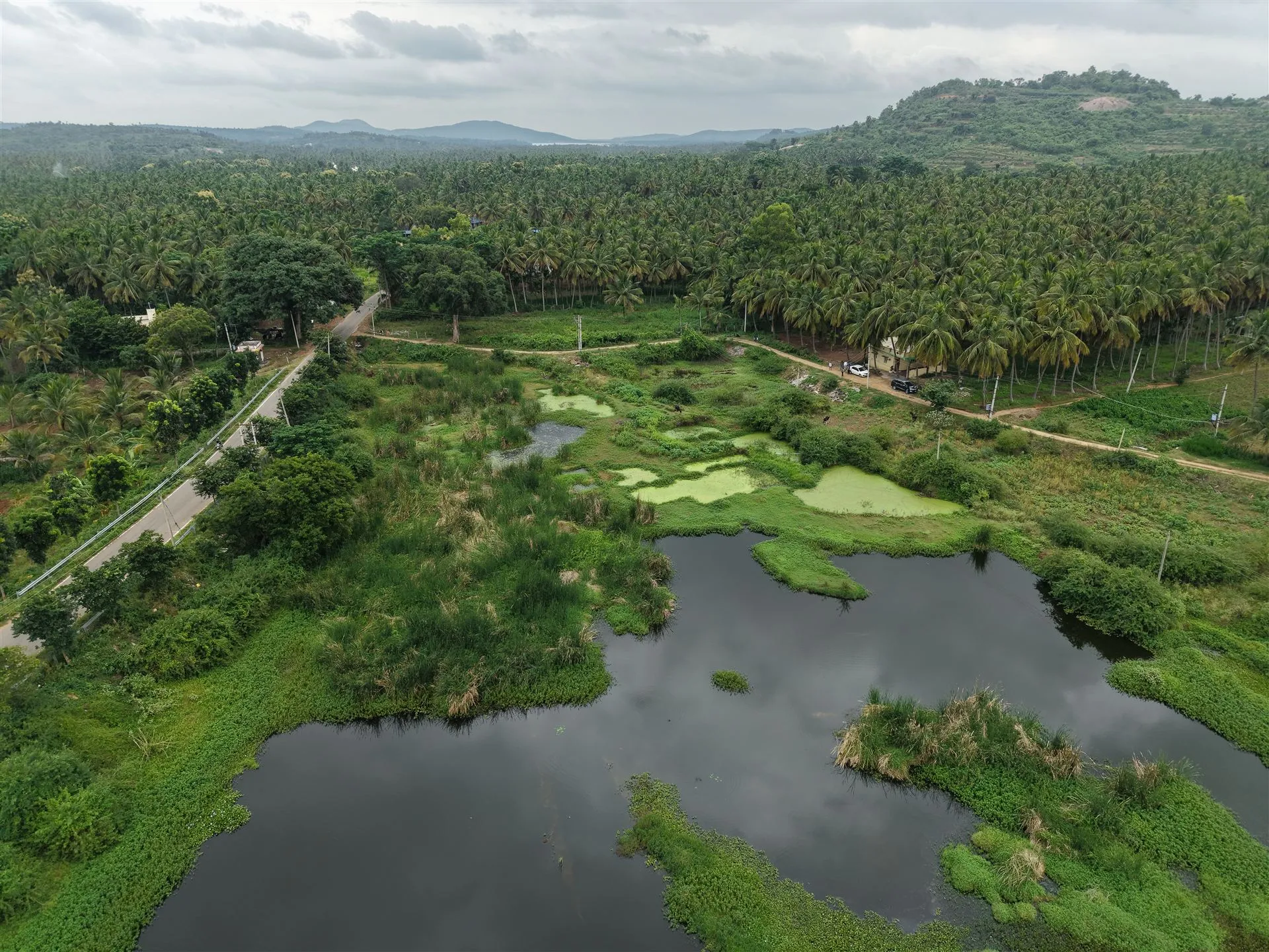 Kuttagallu Lake rejuvenation